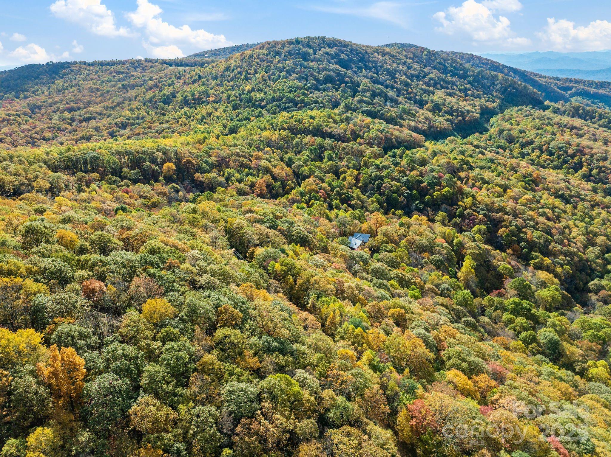 99999 Lytle Cove Road Swannanoa NC 28778