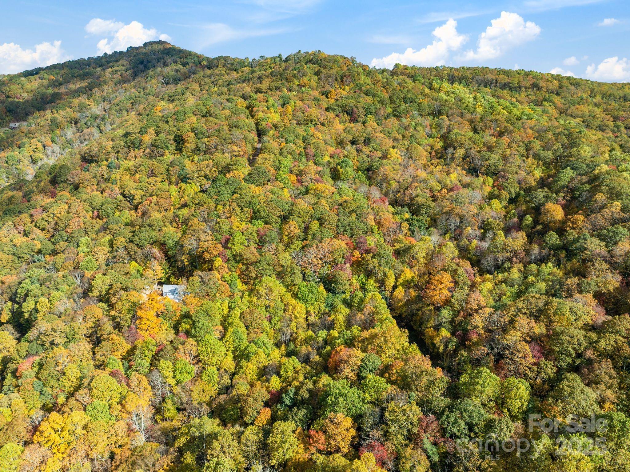 99999 Lytle Cove Road Swannanoa NC 28778