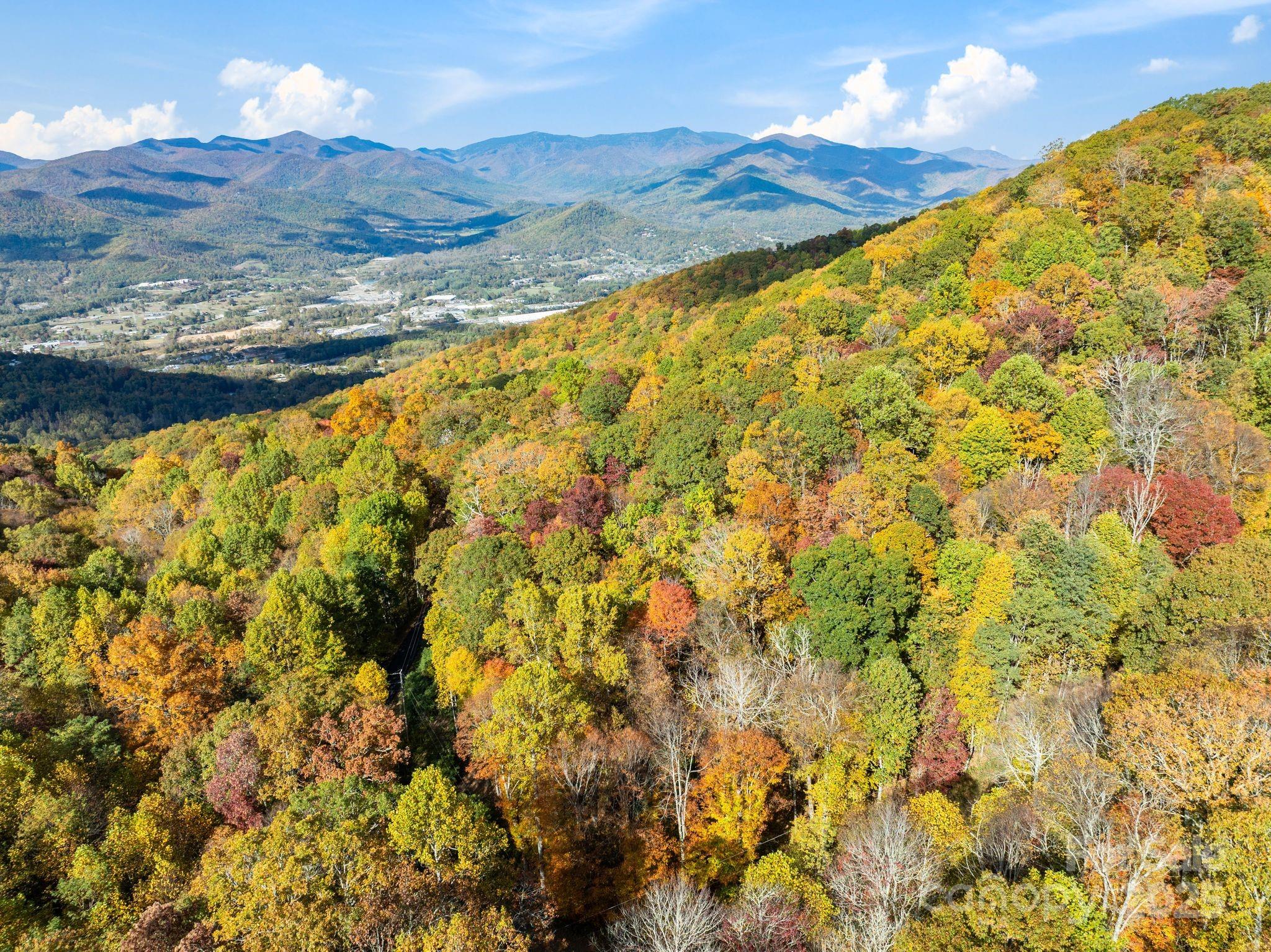99999 Lytle Cove Road Swannanoa NC 28778