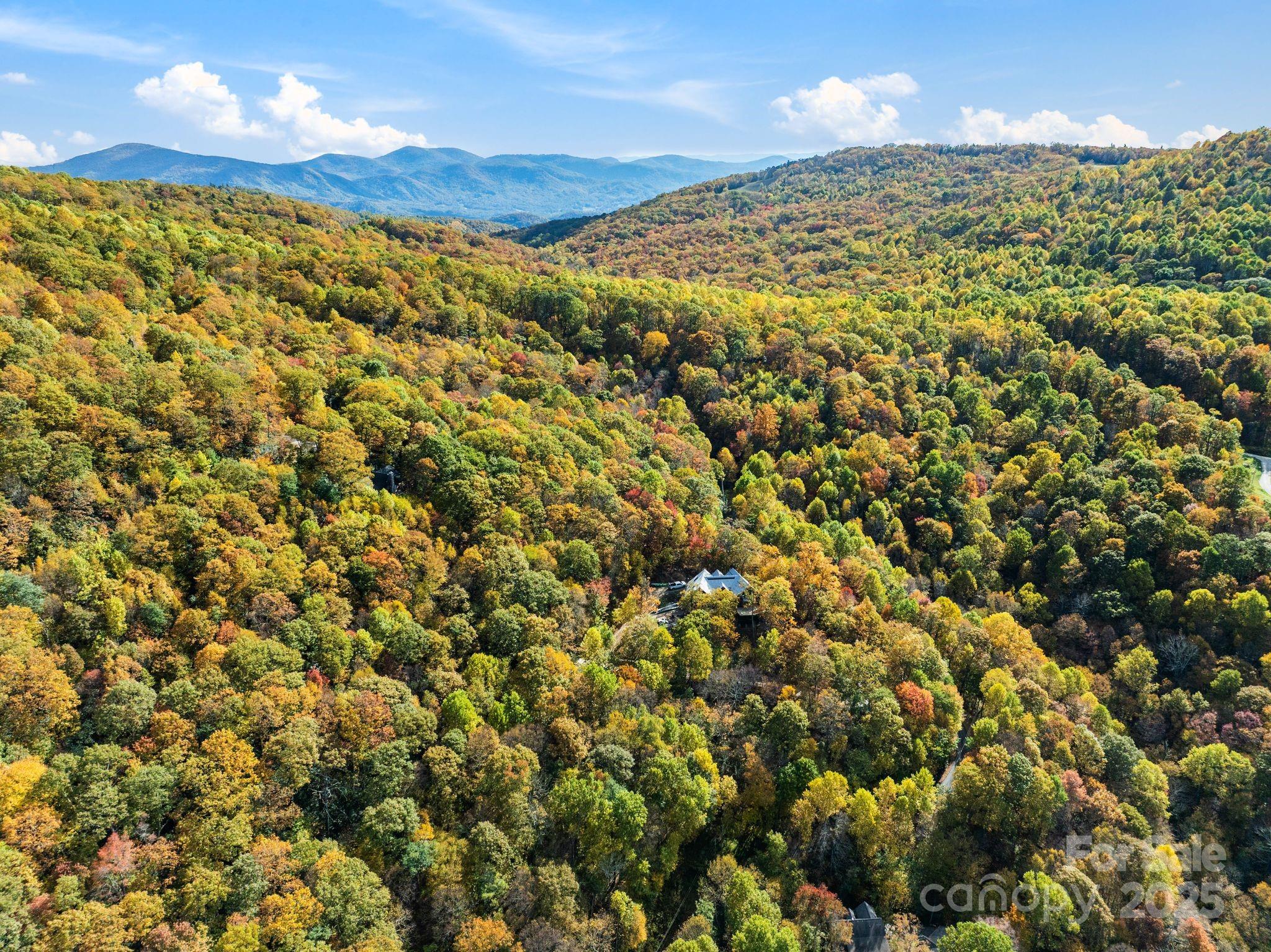 99999 Lytle Cove Road Swannanoa NC 28778