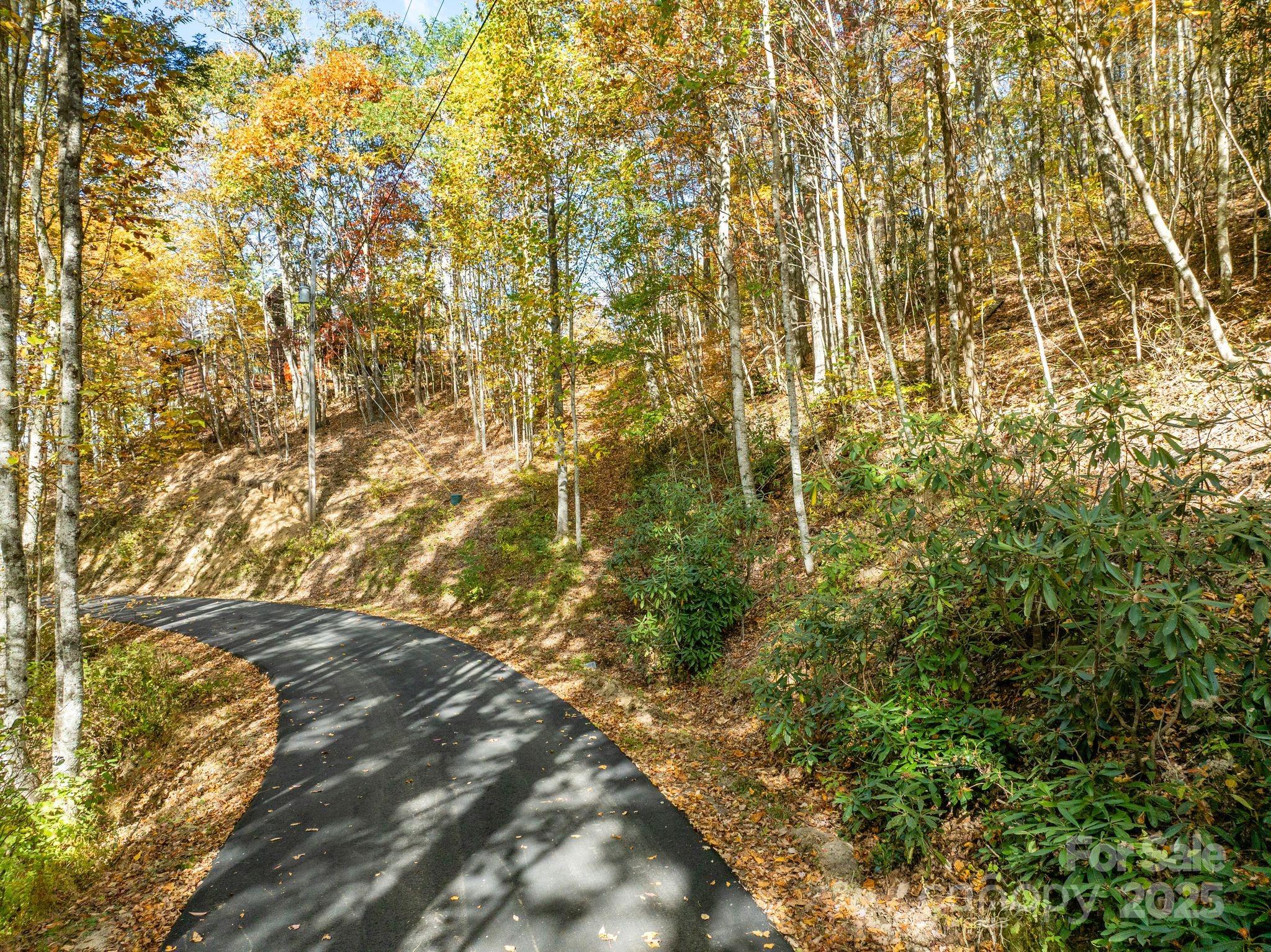99999 Lytle Cove Road Swannanoa NC 28778