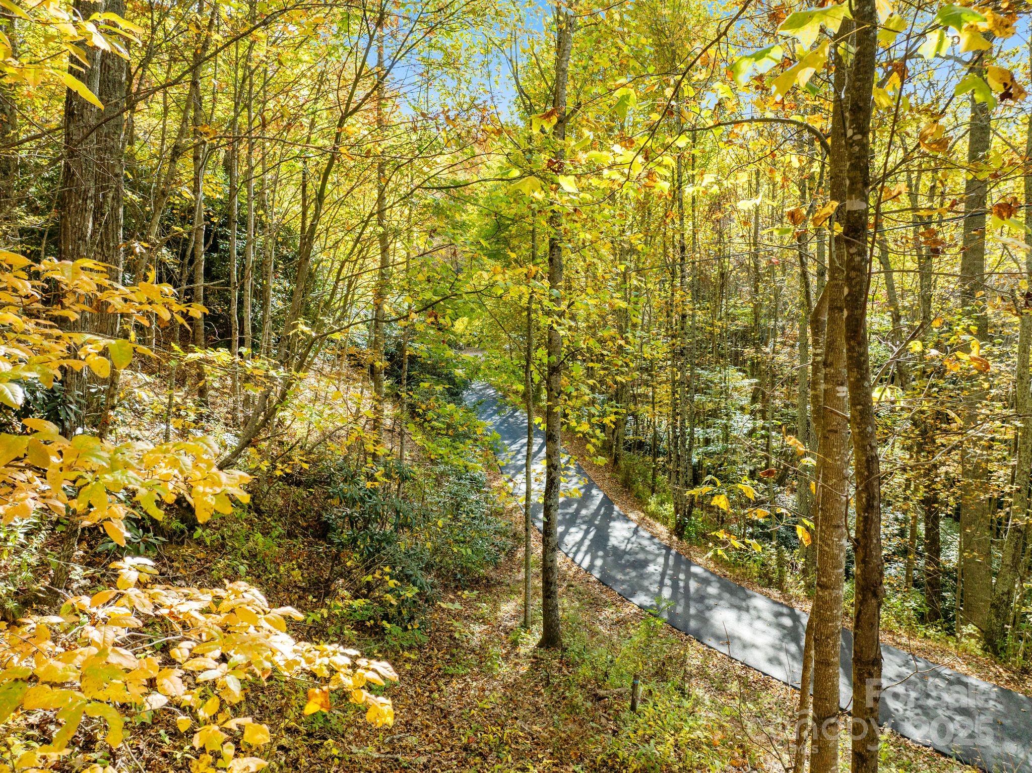 99999 Lytle Cove Road Swannanoa NC 28778
