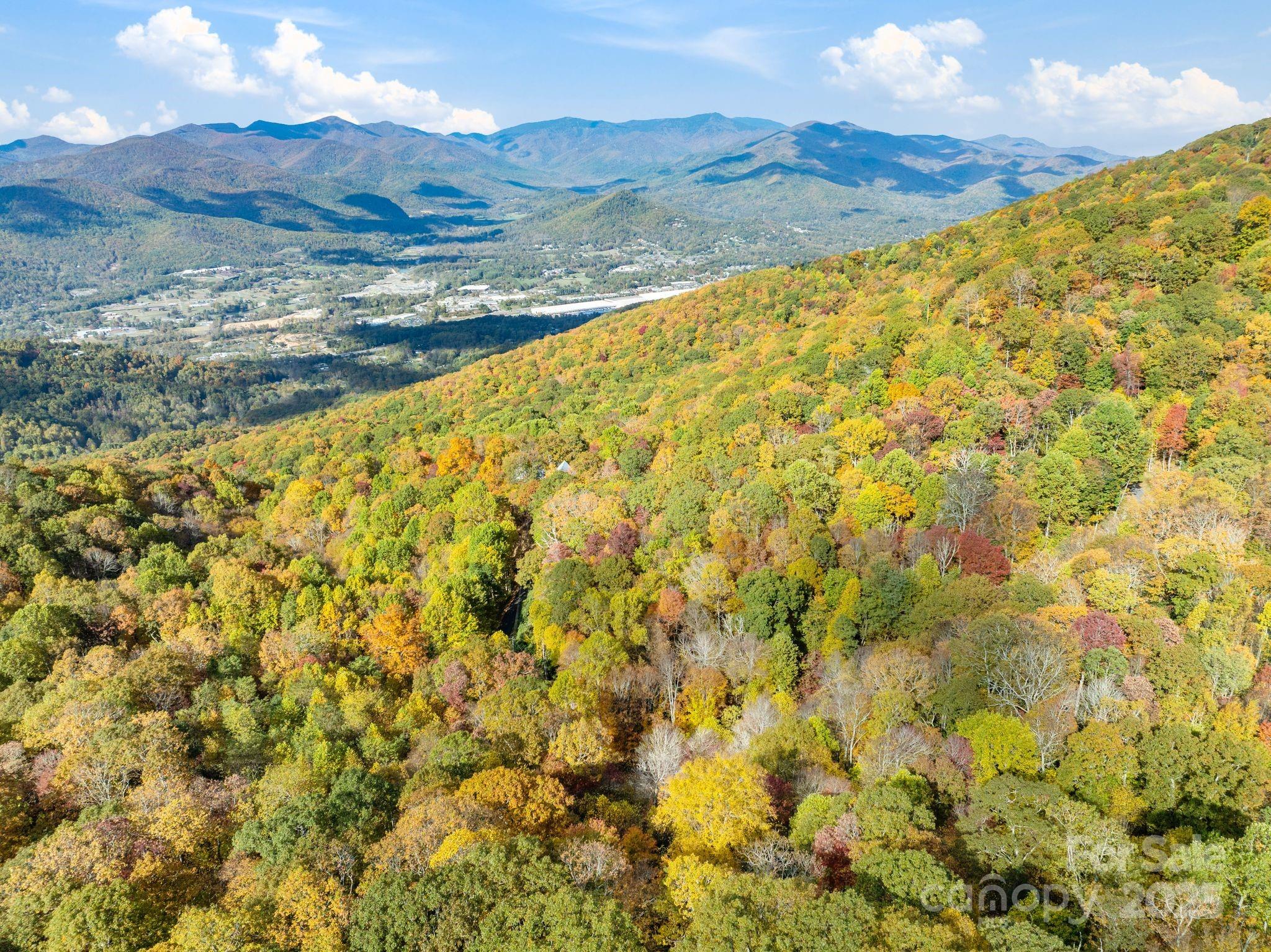 99999 Lytle Cove Road Swannanoa NC 28778