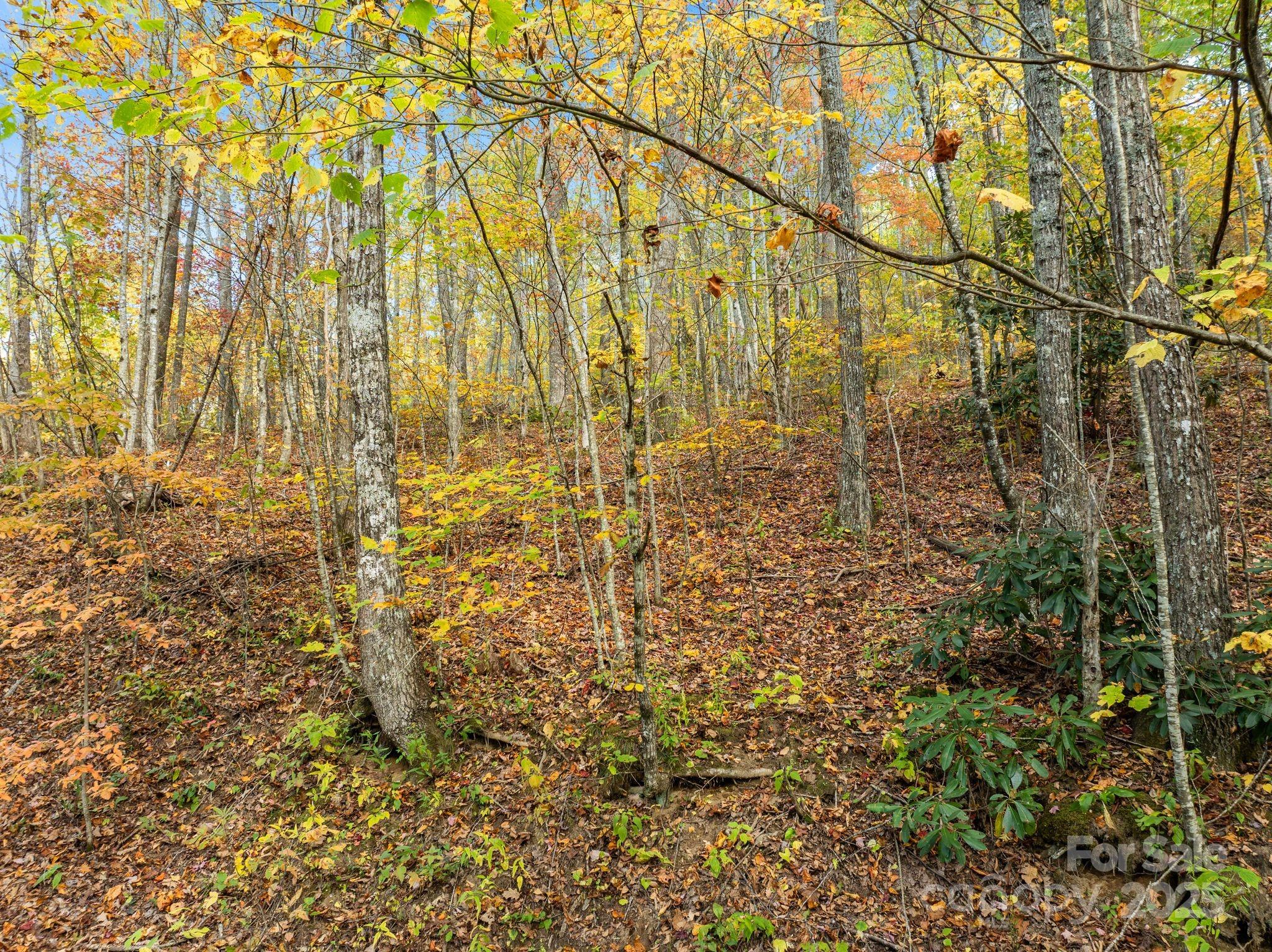 99999 Lytle Cove Road Swannanoa NC 28778