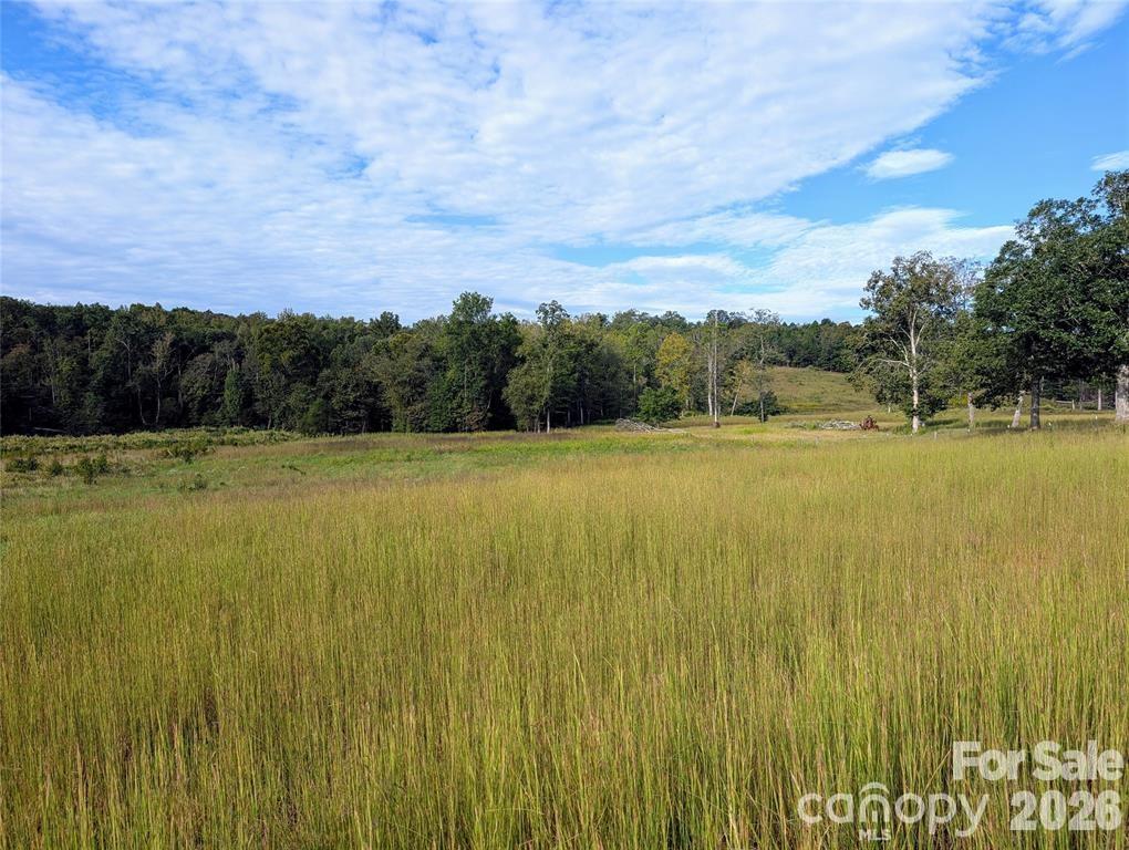 12 Acres County Line Road Rutherfordton NC 28139