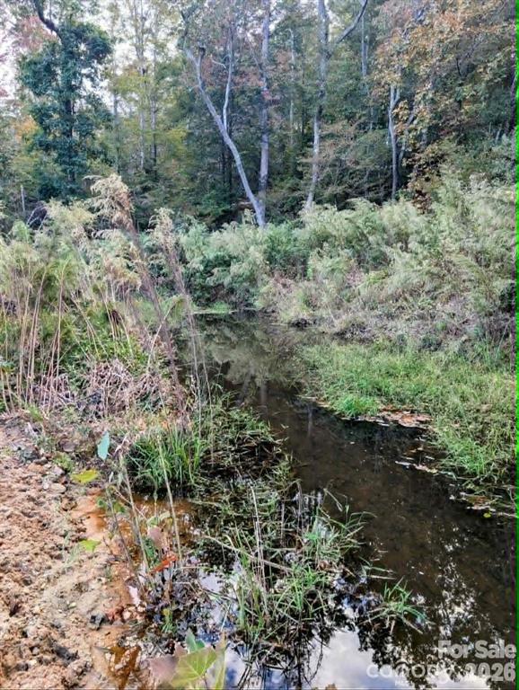 12 Acres County Line Road Rutherfordton NC 28139