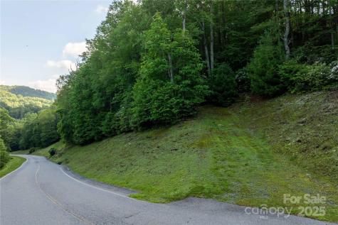 Tbd Lot 108 Firethorn Trail Blowing Rock NC 28605