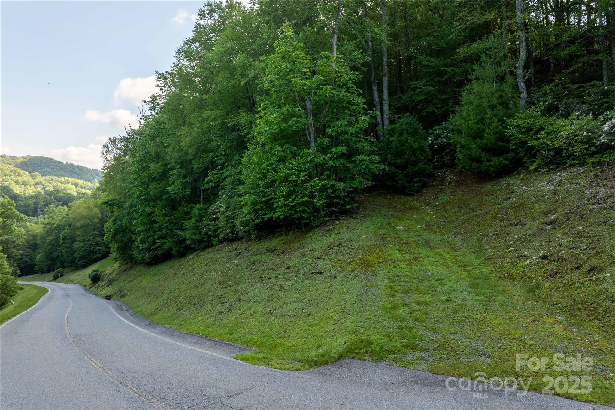 Tbd Lot 108 Firethorn Trail Blowing Rock NC 28605