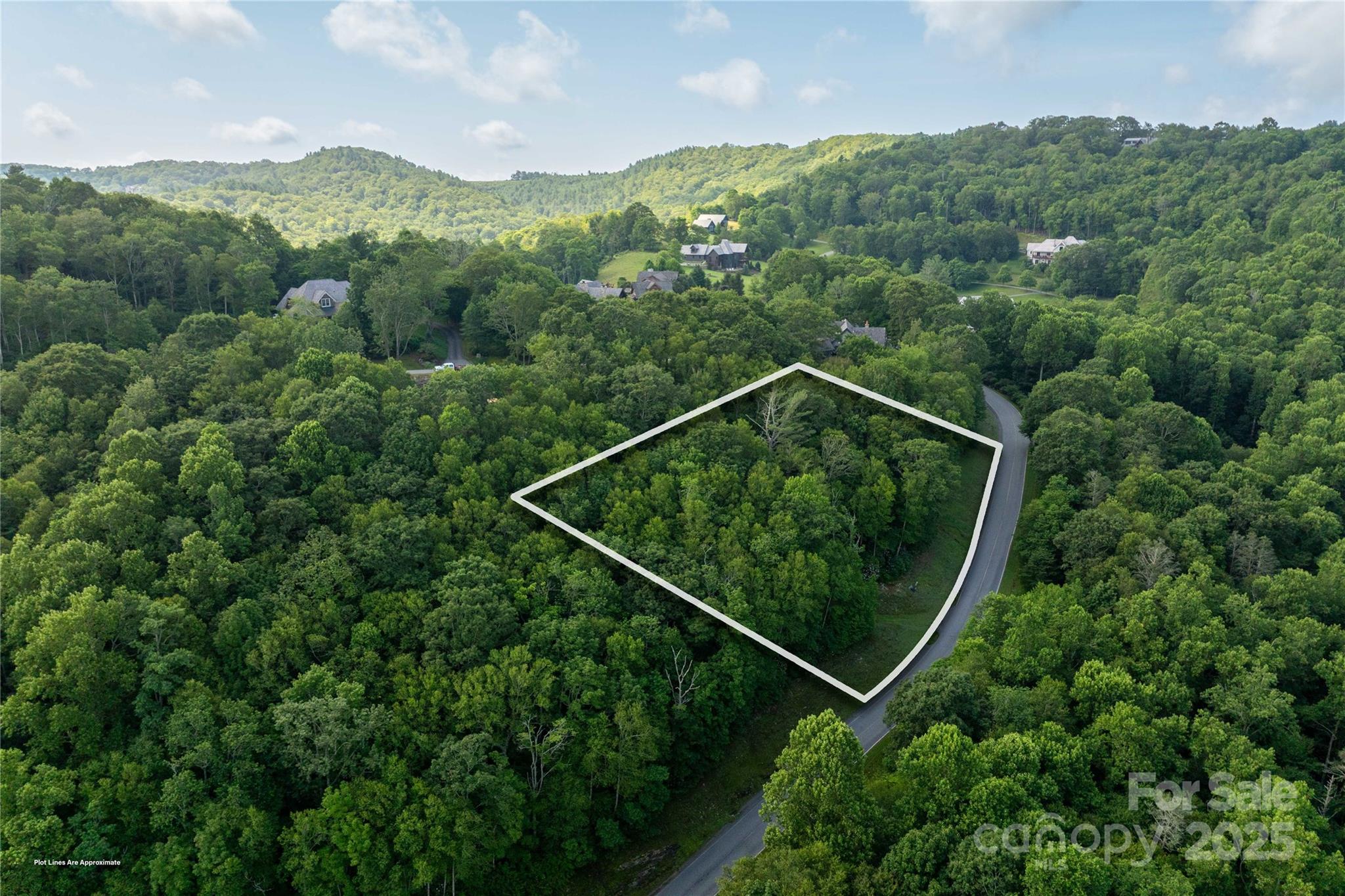 Tbd Lot 108 Firethorn Trail Blowing Rock NC 28605
