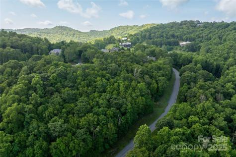 Tbd Lot 108 Firethorn Trail Blowing Rock NC 28605