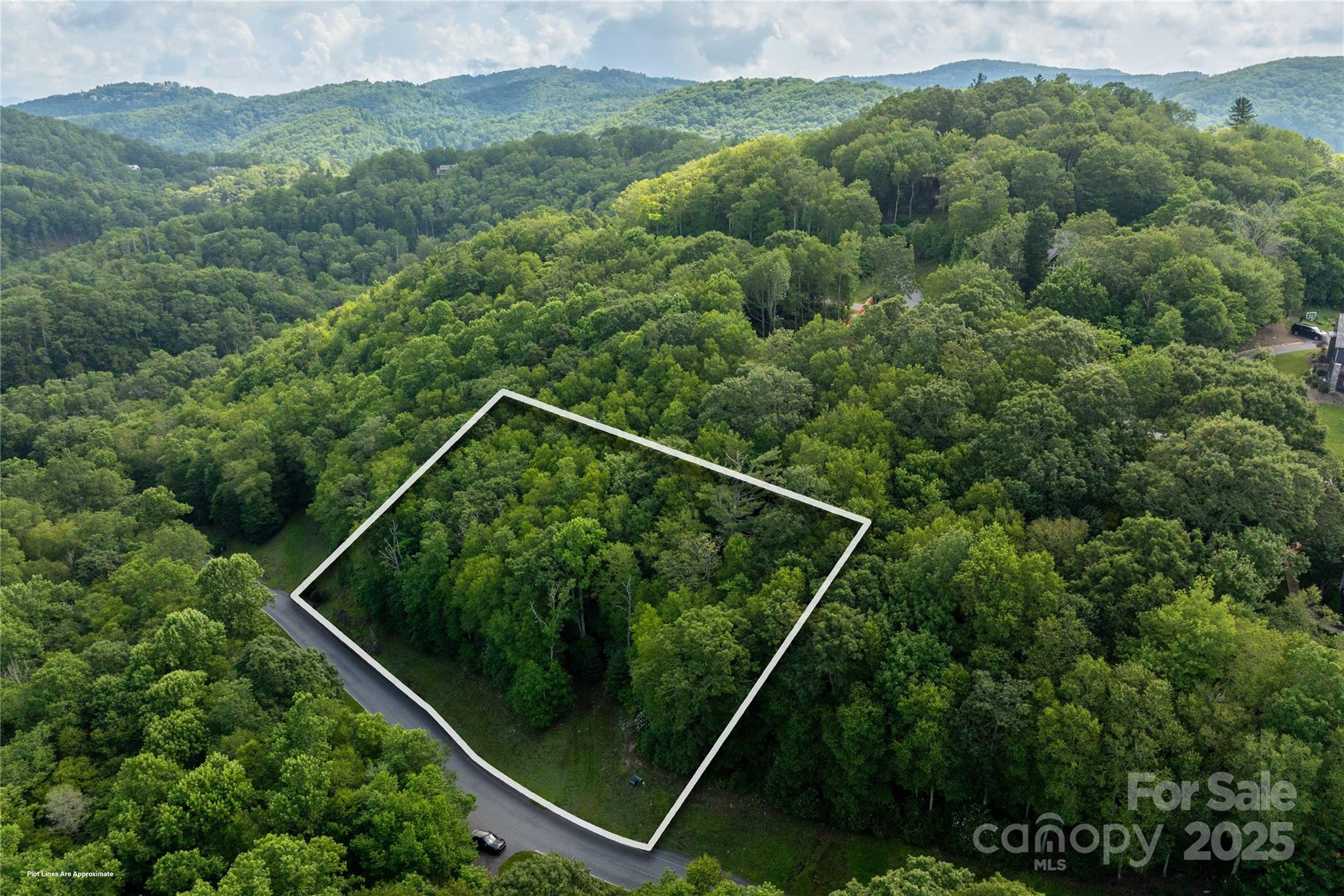 Tbd Lot 108 Firethorn Trail Blowing Rock NC 28605