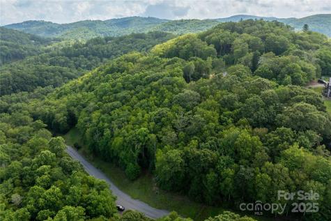 Tbd Lot 108 Firethorn Trail Blowing Rock NC 28605