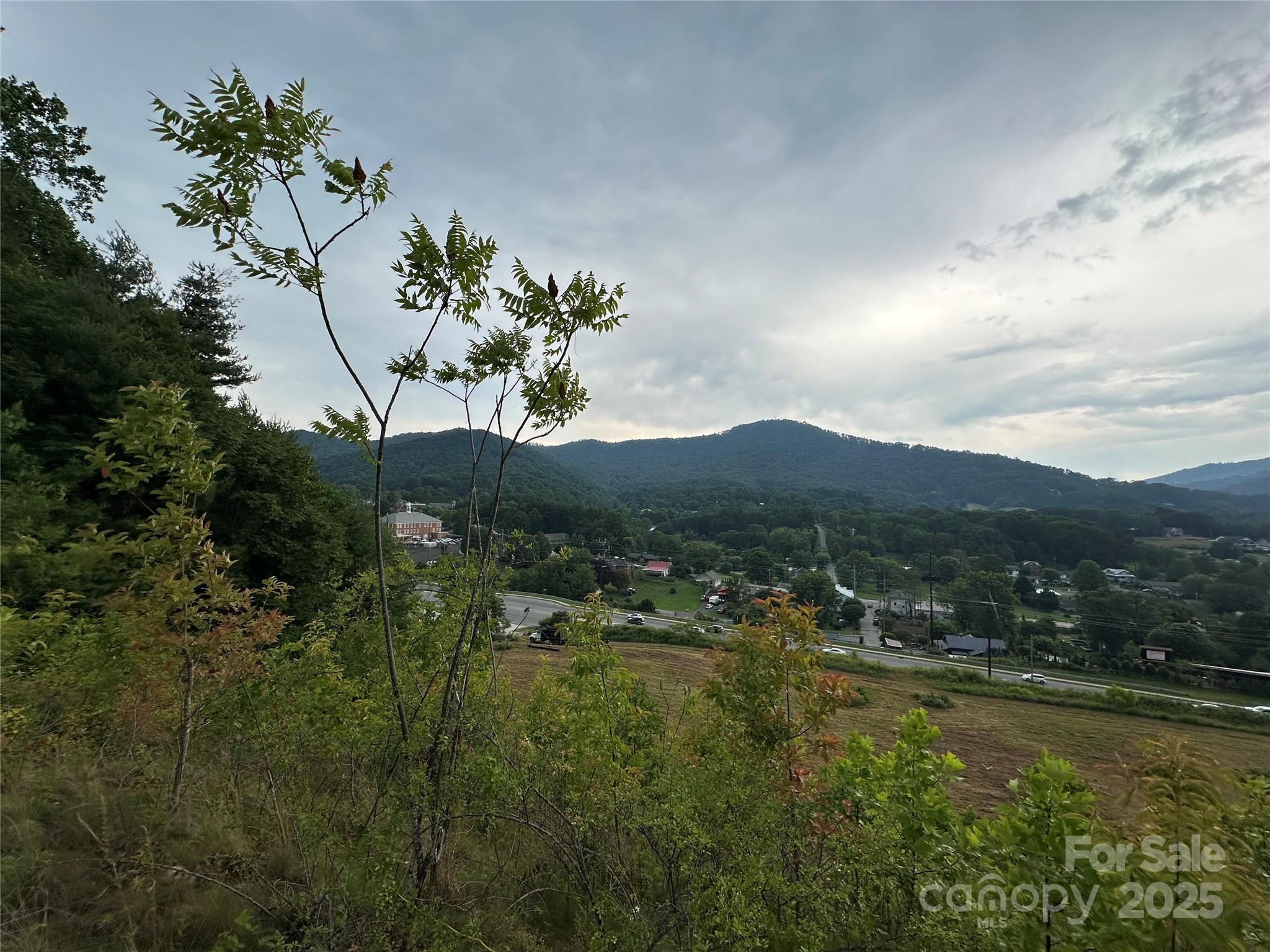 32 Hwy 19e Highway Burnsville NC 28714