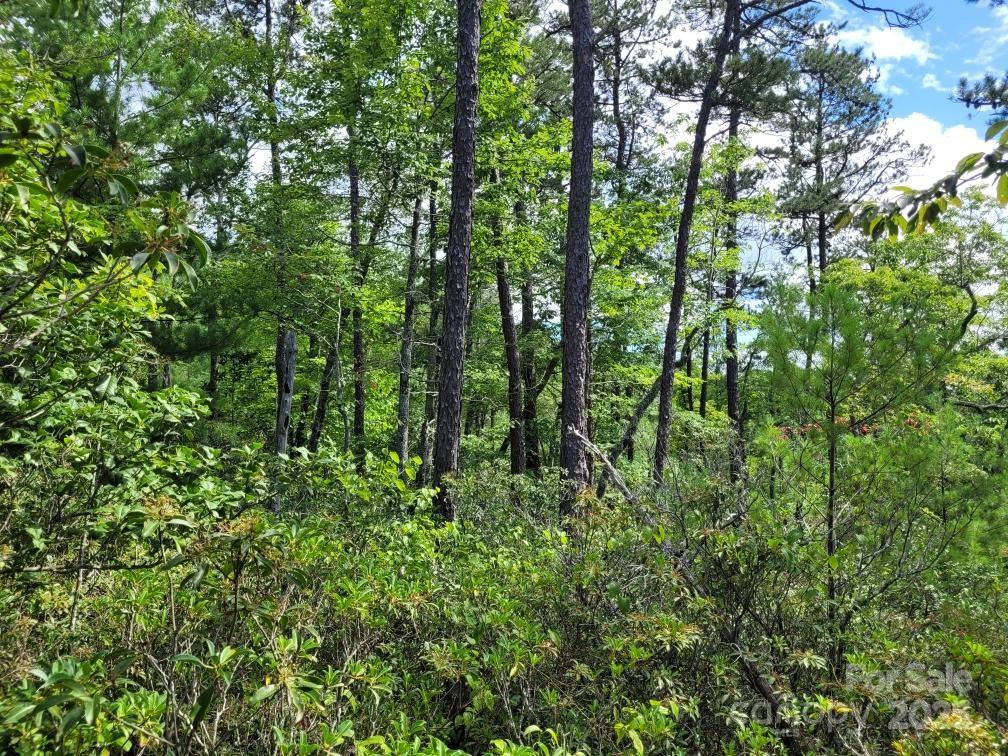 0 Oconee Drive Marion NC 28752