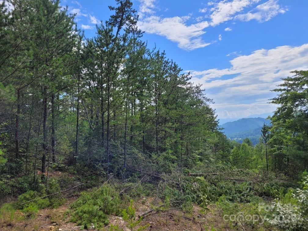 0 Oconee Drive Marion NC 28752