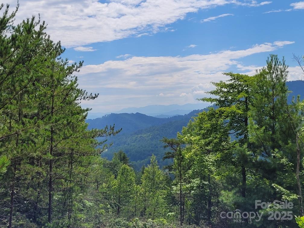 0 Oconee Drive Marion NC 28752