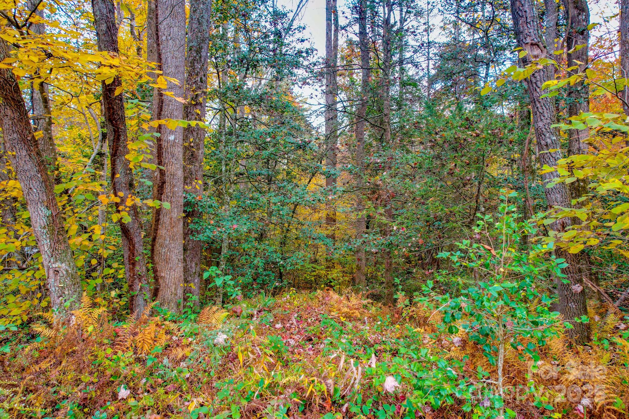 00 Grandin Road Lenoir NC 28645