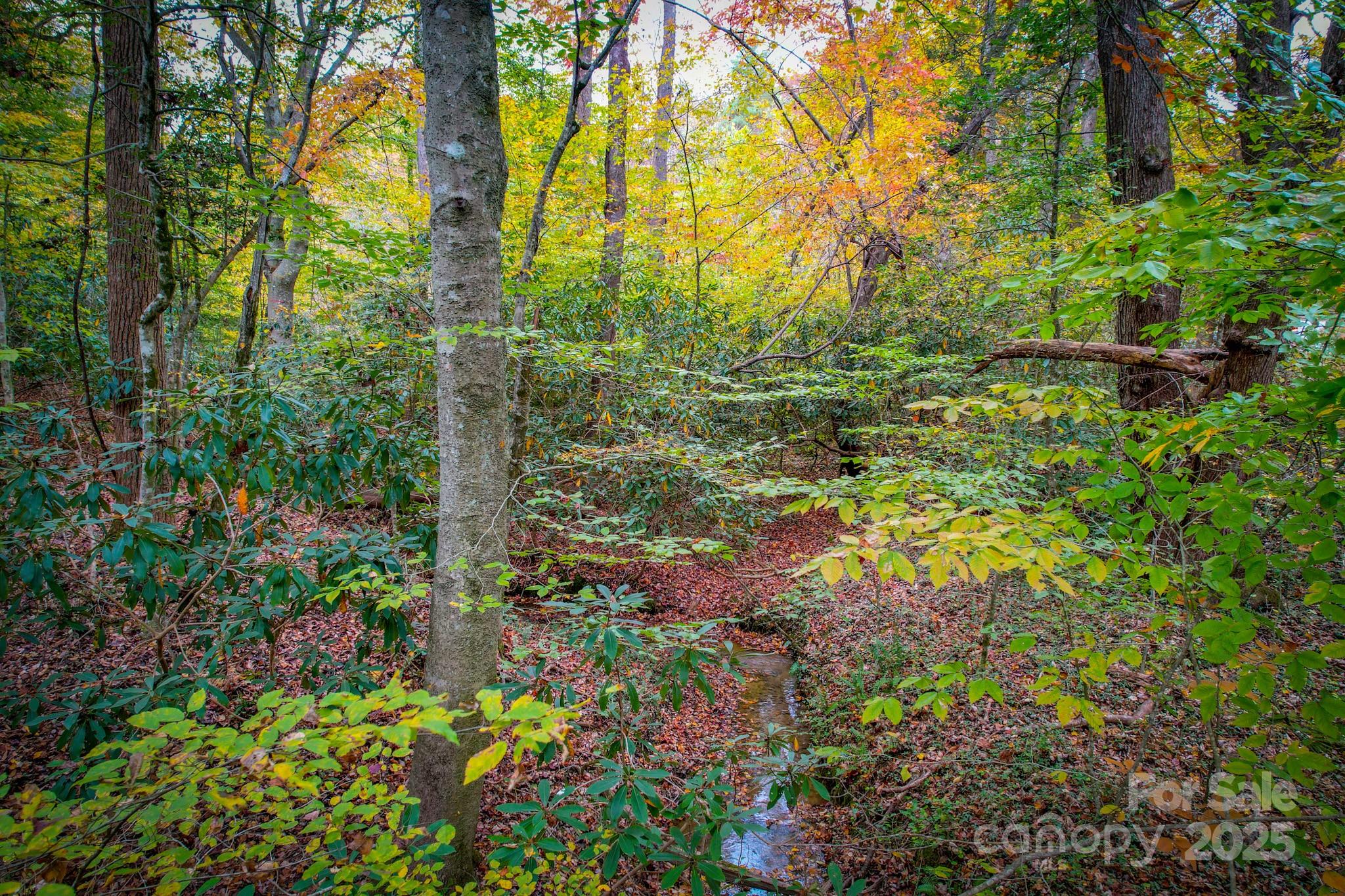 00 Grandin Road Lenoir NC 28645