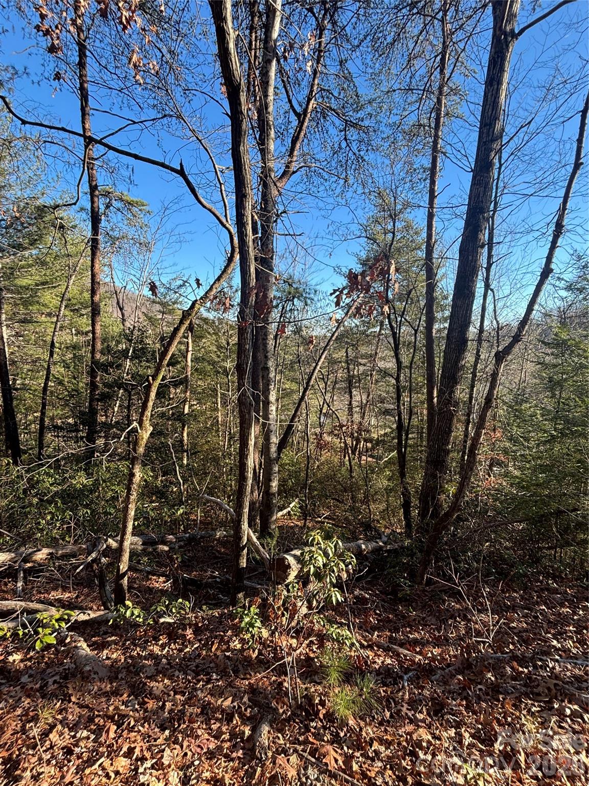Lot 19 Nicklaus Lane Lake Lure NC 28746