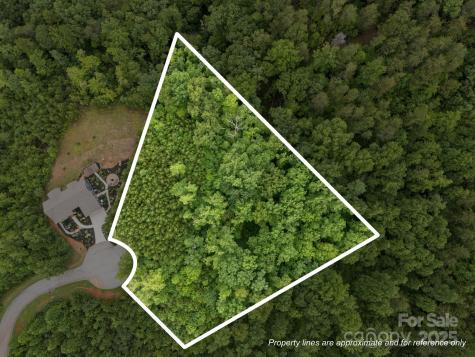 00000 Deer Jump Trail Lake Lure NC 28746