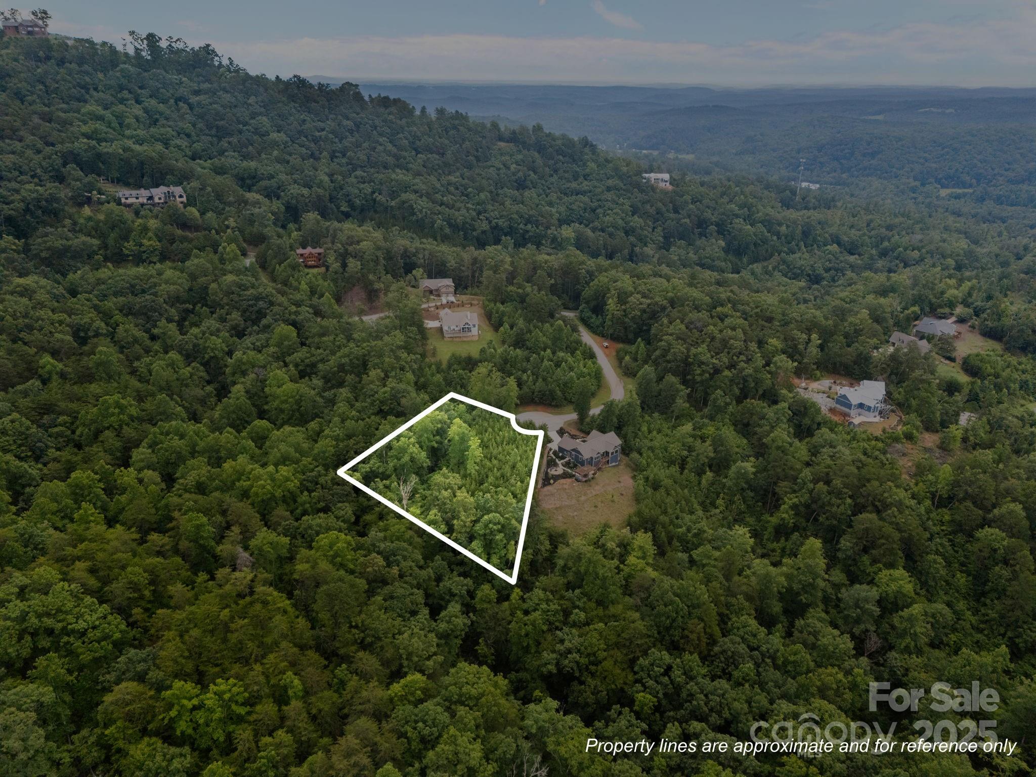 00000 Deer Jump Trail Lake Lure NC 28746