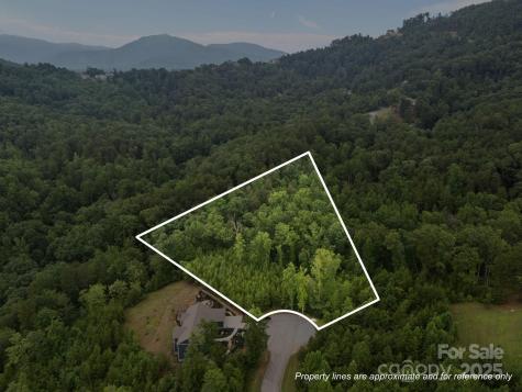 00000 Deer Jump Trail Lake Lure NC 28746