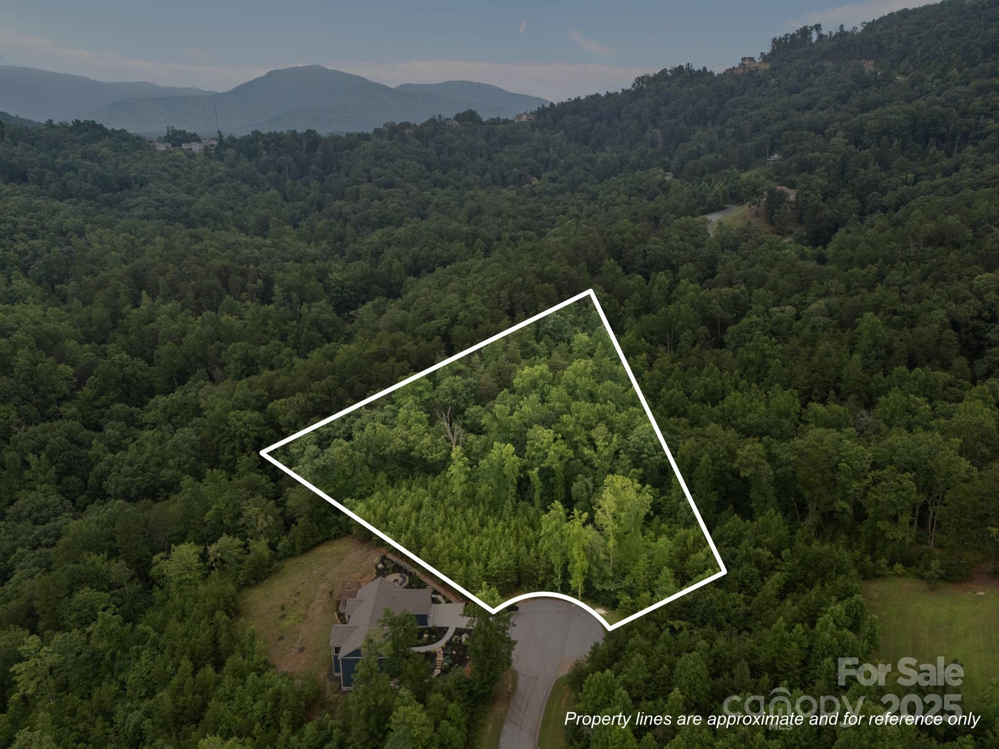 00000 Deer Jump Trail Lake Lure NC 28746