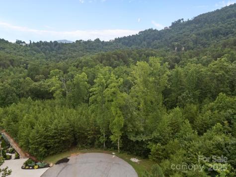 00000 Deer Jump Trail Lake Lure NC 28746