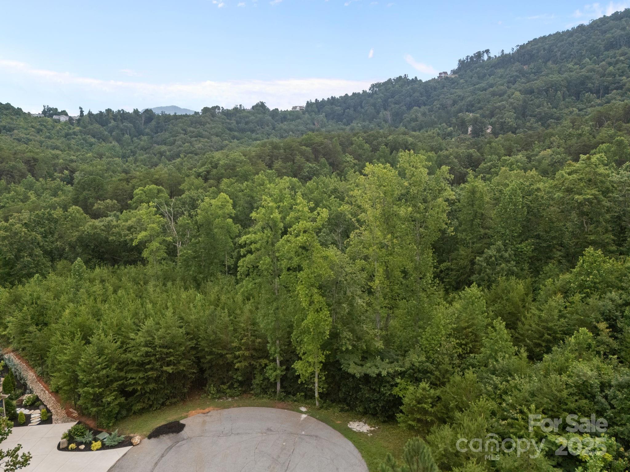 00000 Deer Jump Trail Lake Lure NC 28746