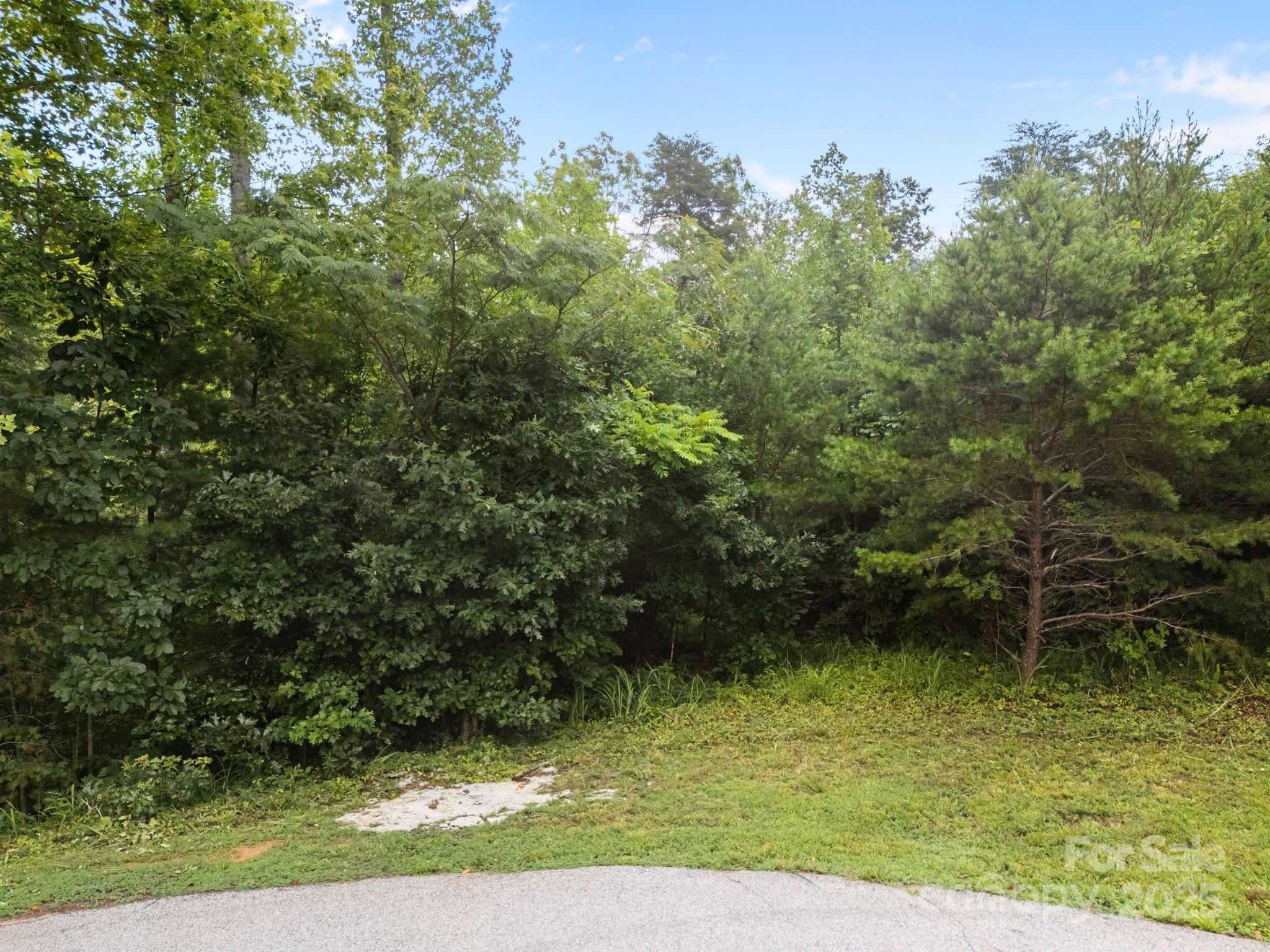 00000 Deer Jump Trail Lake Lure NC 28746