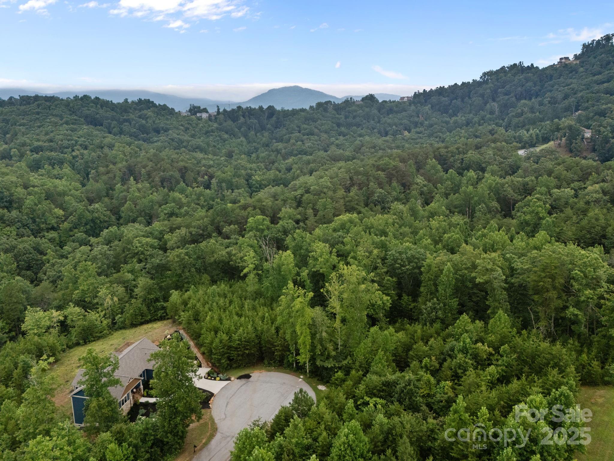 00000 Deer Jump Trail Lake Lure NC 28746