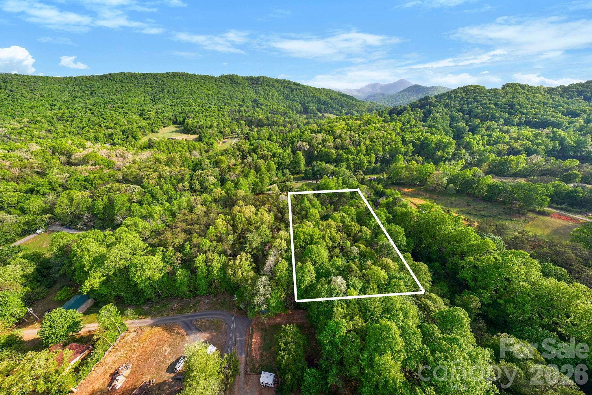 99999 Elana Chase Drive Candler NC 28715