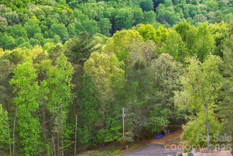 99999 Elana Chase Drive Candler NC 28715
