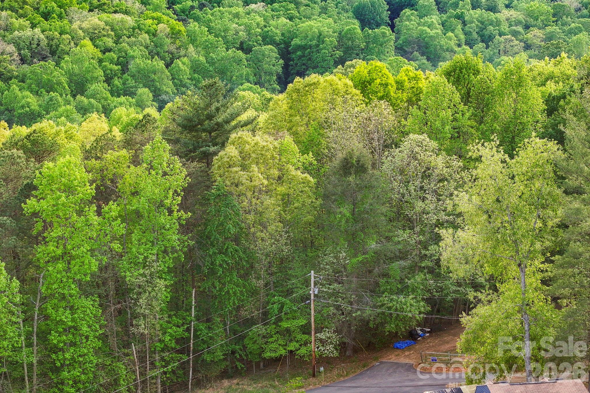99999 Elana Chase Drive Candler NC 28715