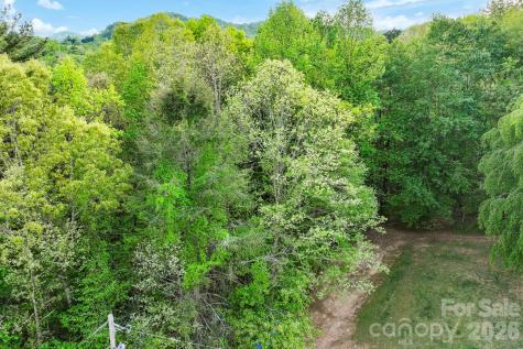 99999 Elana Chase Drive Candler NC 28715