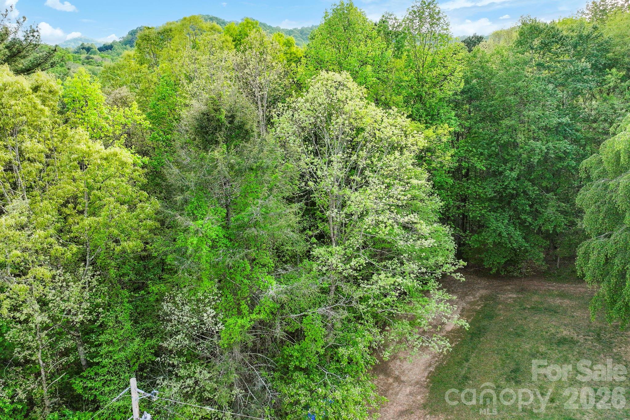 99999 Elana Chase Drive Candler NC 28715