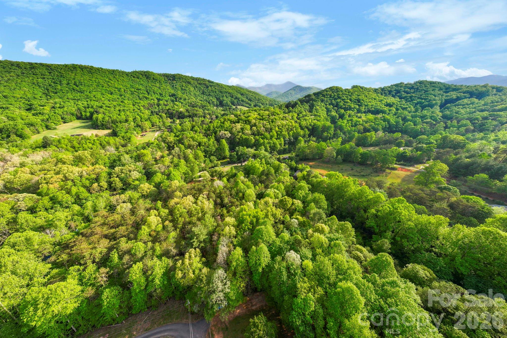 99999 Elana Chase Drive Candler NC 28715