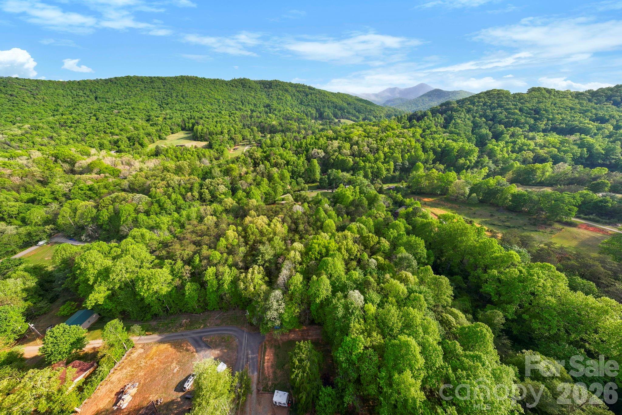 99999 Elana Chase Drive Candler NC 28715