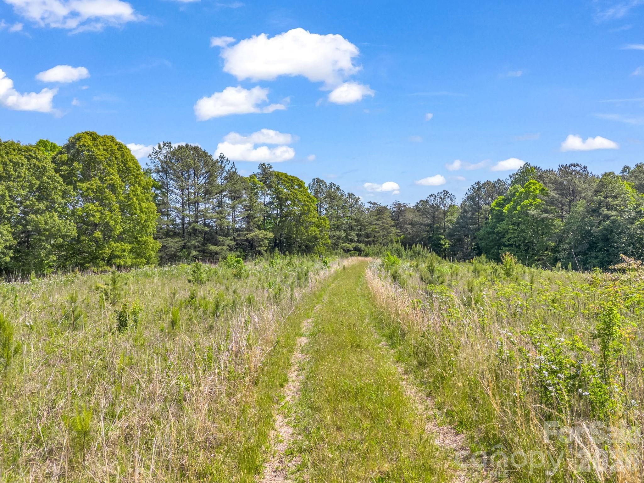 0 S Highway 9 Highway Columbus NC 28722