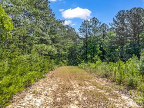 0 S Highway 9 Highway Columbus NC 28722