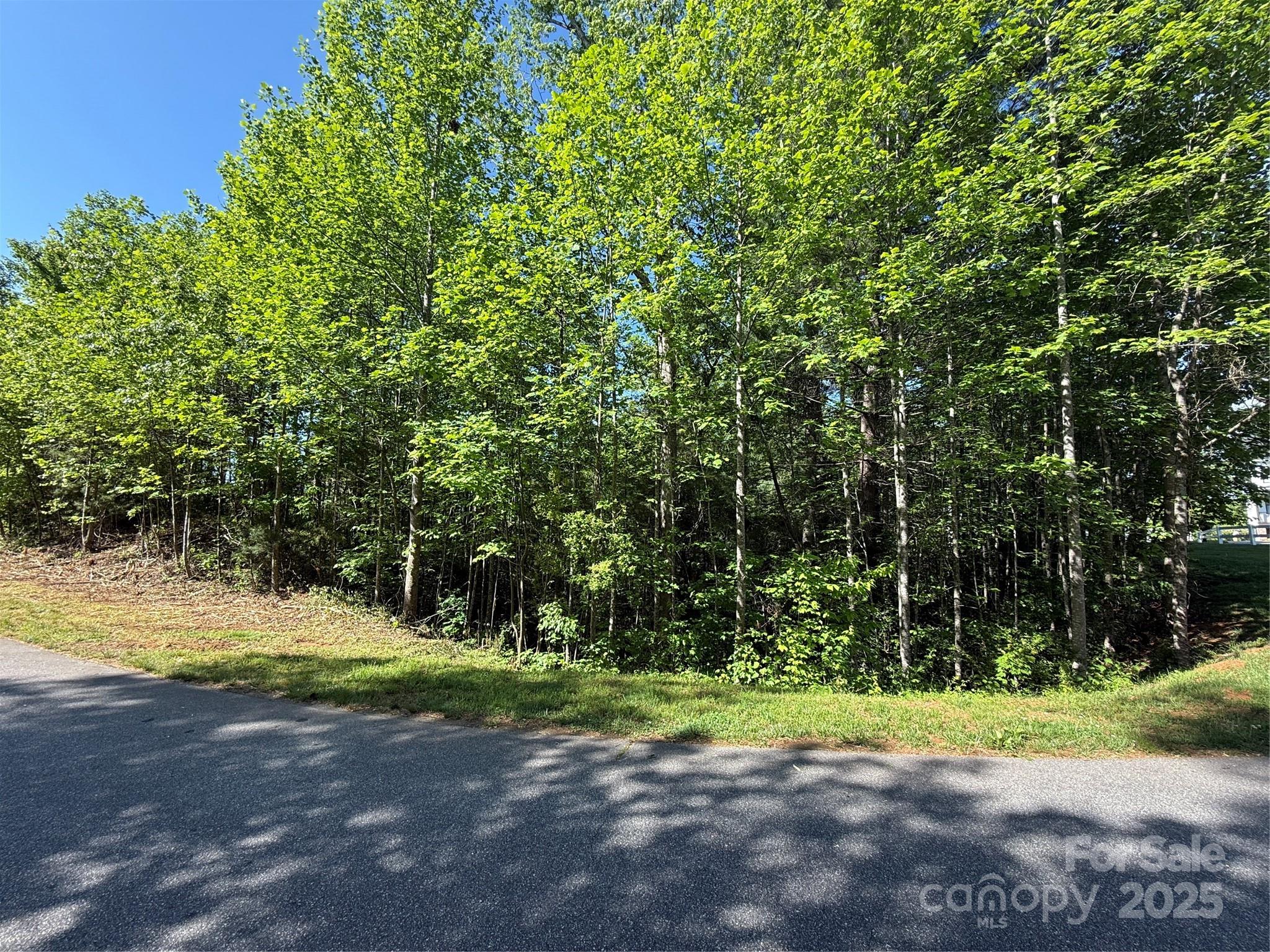 Lot 280 Whitman Court Taylorsville NC 28681