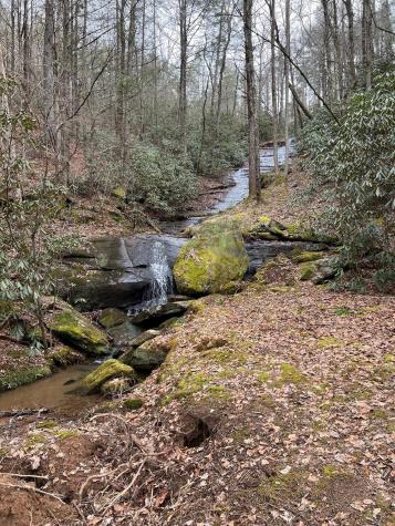 0 Moss Hill Lane Lake Lure NC 28139