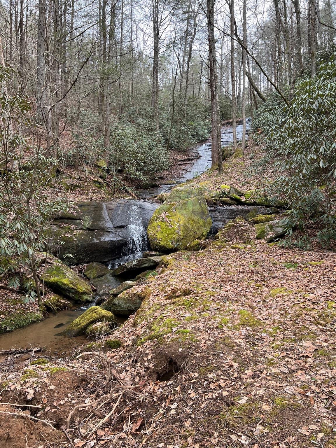 0 Moss Hill Lane Lake Lure NC 28139