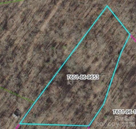 Trail C Barkers Creek Road Whittier NC 28789