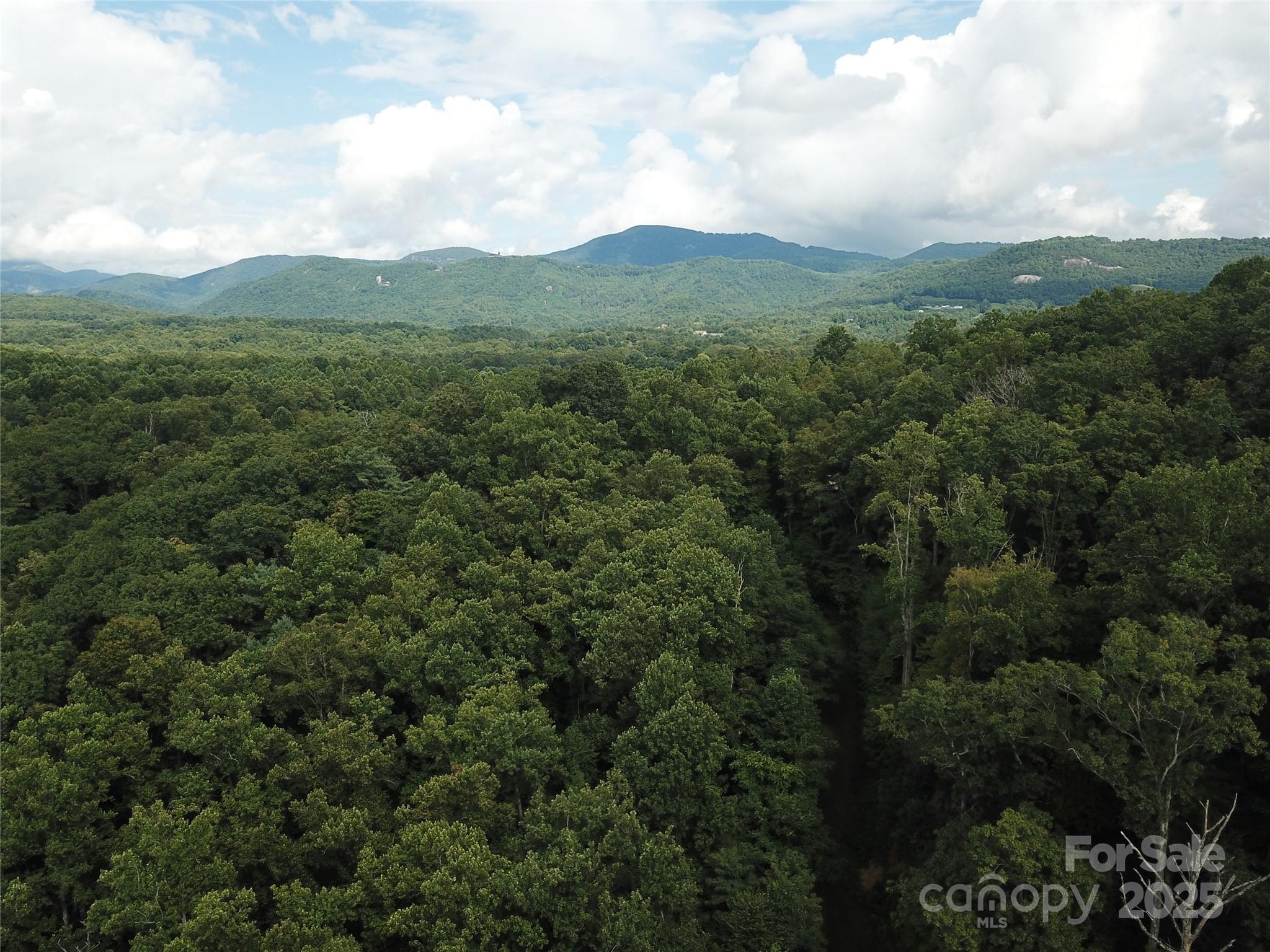 7 Pounding Mill Hendersonville NC 28792