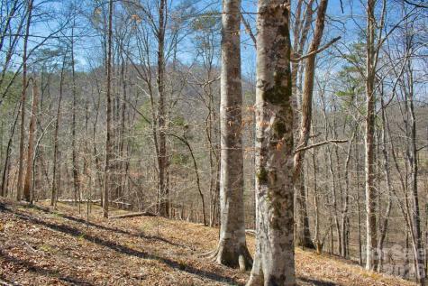 0 Cross Creek Drive Rutherfordton NC 28139