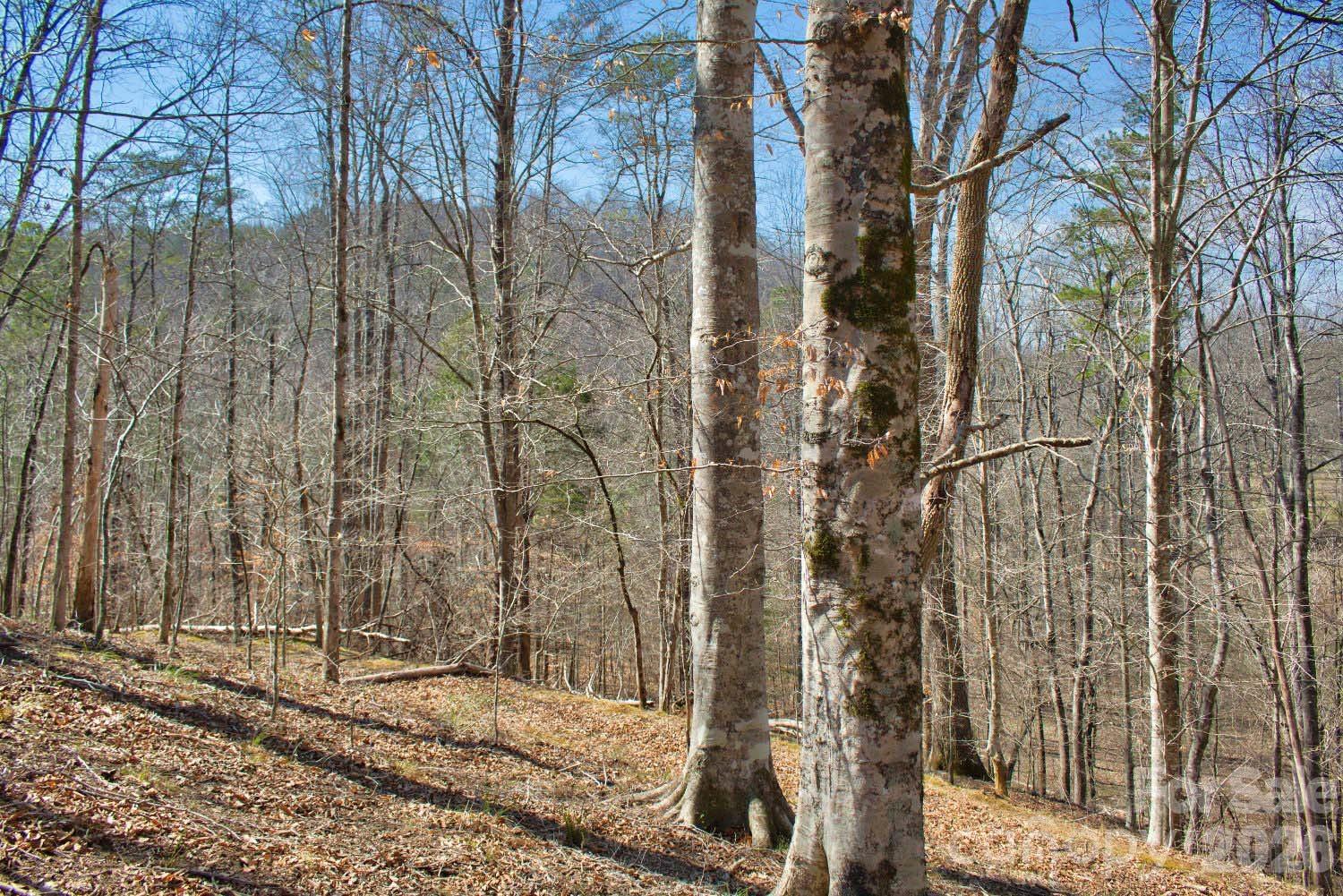0 Cross Creek Drive Rutherfordton NC 28139
