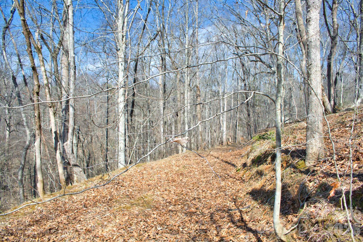 0 Cross Creek Drive Rutherfordton NC 28139
