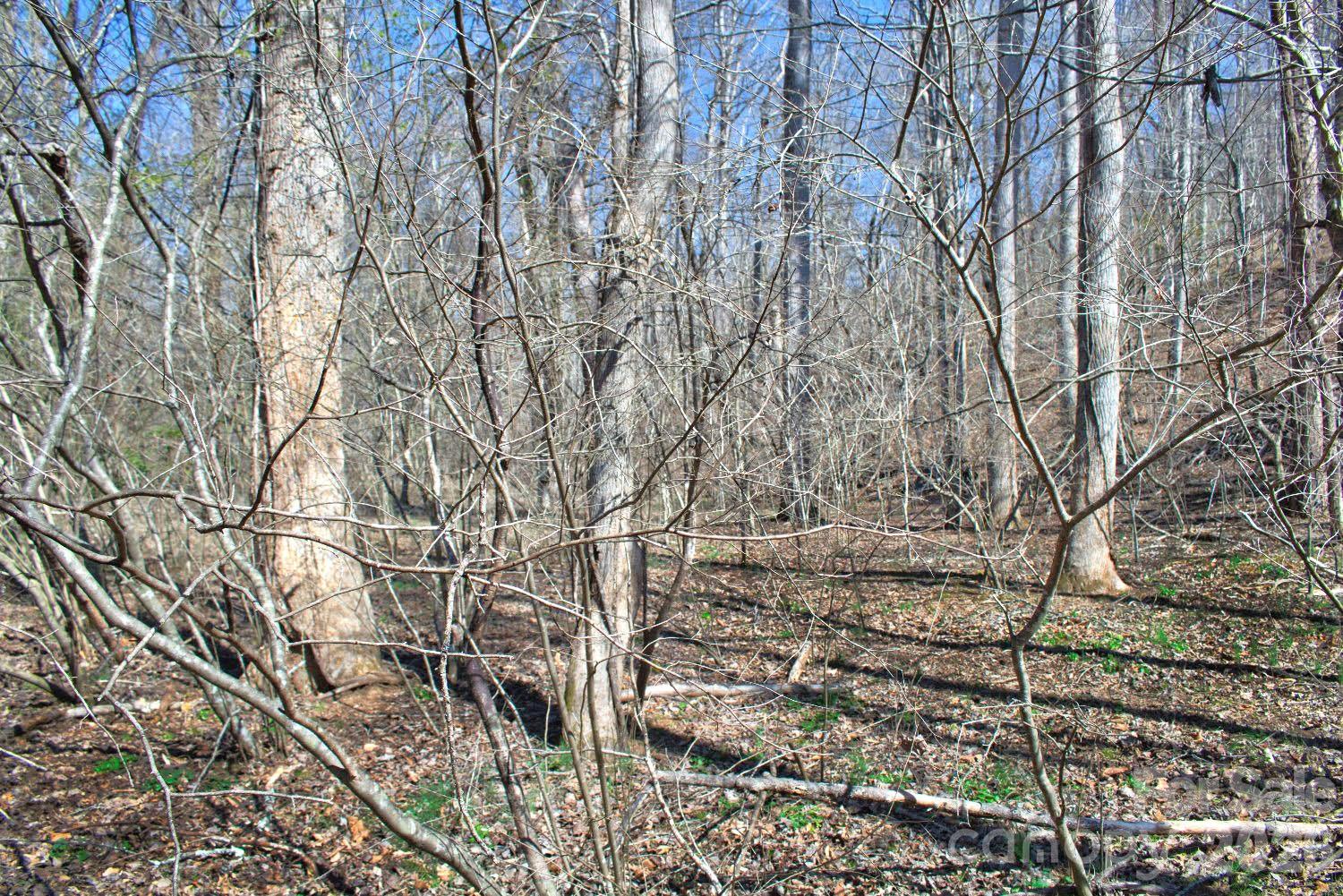0 Cross Creek Drive Rutherfordton NC 28139