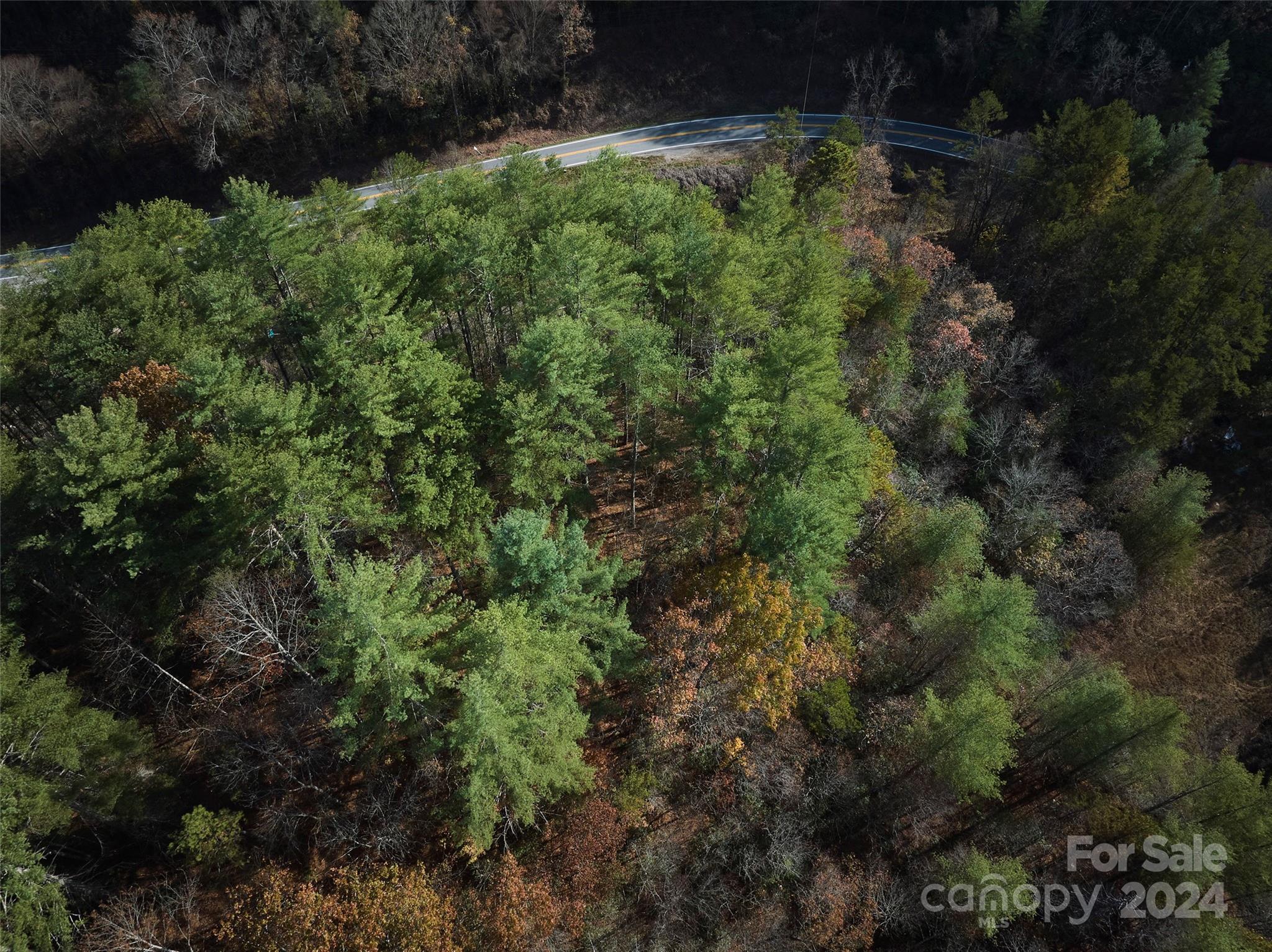 00 Sky Ridge Drive Bryson City NC 28713